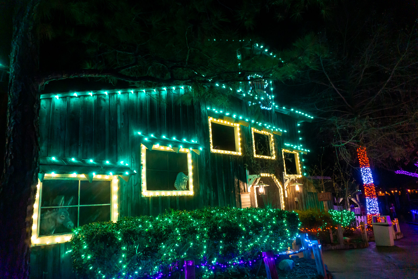 Lights in Frontier City